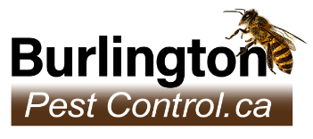 Burlington Pest Control